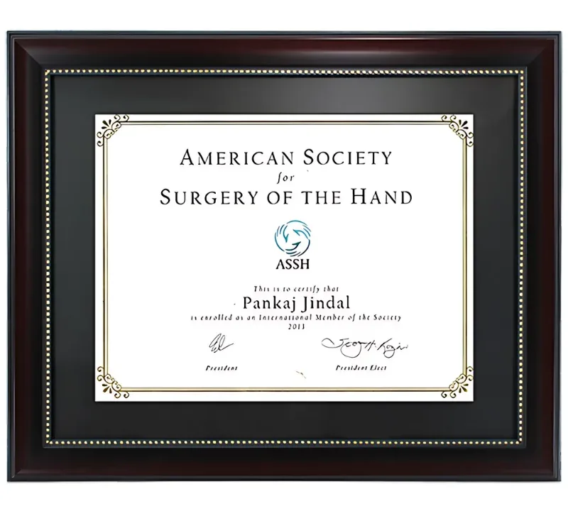International Member, American Society for Surgery of the Hand