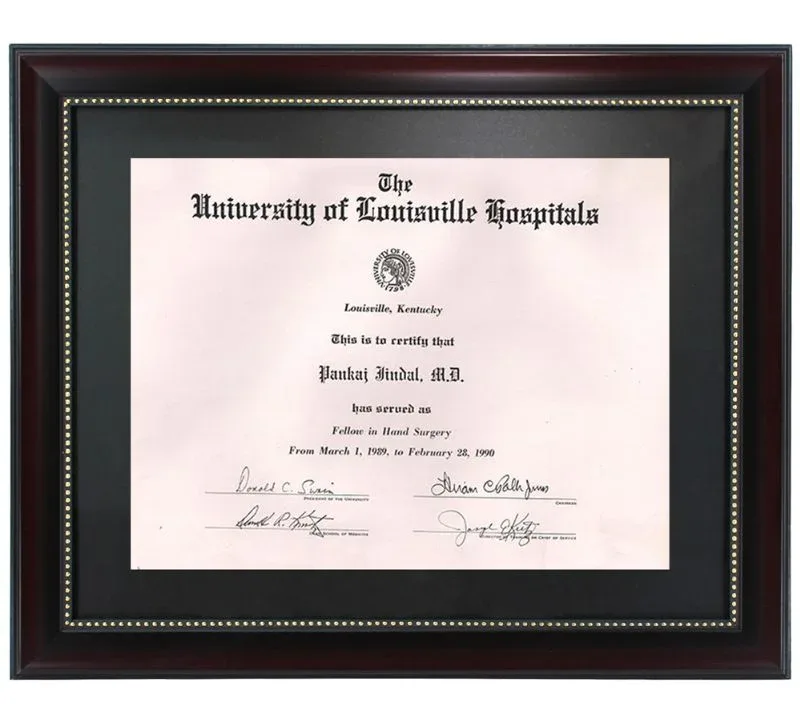 Fellowship in Hand Surgery & Microsurgery, Kleinert Institute, Louisville, Kentucky